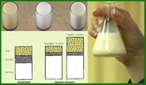 Как сделать молоко жирным кормящей маме