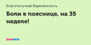 35 неделя беременности болит низ живота и поясница