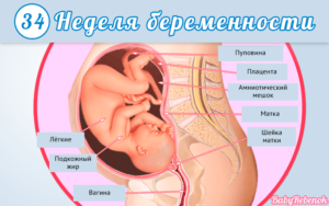 Тянет поясницу и низ живота 33 недели беременности