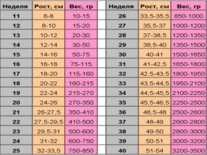 36 неделя беременности развитие плода вес и рост