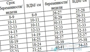 Обхват живота по неделям. ВДМ при беременности 35 недель норма. Высота дна матки по неделям беременности и окружность живота таблица. Высота дна матки при беременности норма. Нормальный размер шейки матки при беременности 24 недели.