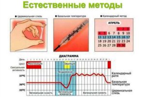 Можно ли забеременеть при прерванном акте в день овуляции