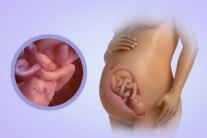 37 неделя беременности предвестники