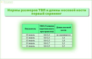 Скрининг в 20 недель беременности нормы