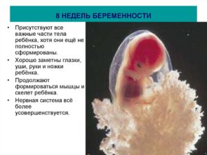 Пропали признаки на 9 неделе беременности