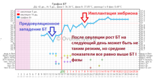 Имплантация на какой день после овуляции