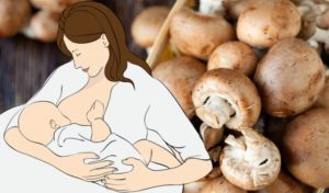 Можно ли кормящей маме грибы шампиньоны