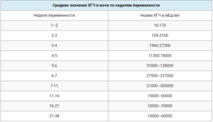 Норма хгч на 17 неделе беременности