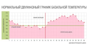 График базальной температуры овуляция