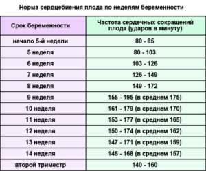 Норма чсс на 12 неделе беременности