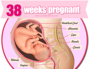 38 неделя беременности колит низ живота