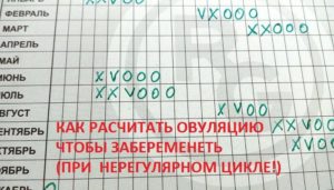 Как вычислить овуляцию при нерегулярном цикле