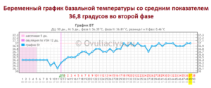 Температура при беременности на 10 неделе