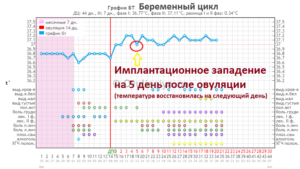 После овуляции температура тела