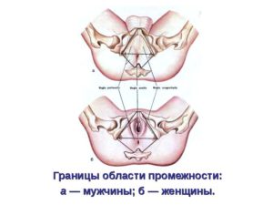 35 недель беременности прострелы в промежной области