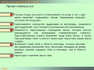 Предвестники родов на 35 неделе беременности