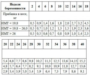 На 24 неделе беременности прибавка в весе