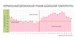 Базальная температура в день овуляции