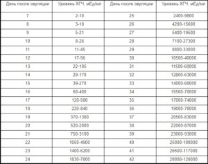 Нормы хгч по дням после овуляции