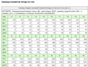 Размеры плода на 29 неделе беременности по узи норма