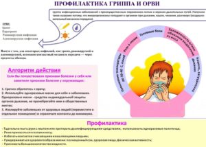 Орви во втором триместре беременности