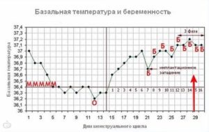 На 14 неделе беременности температура