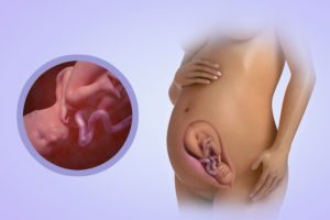 Изжога на 34 неделе беременности