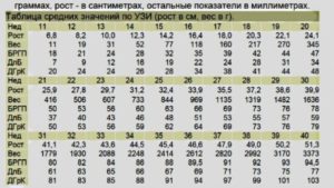 Размеры плода на 13 неделе беременности по узи таблица