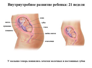 На 21 неделе беременности ощущения