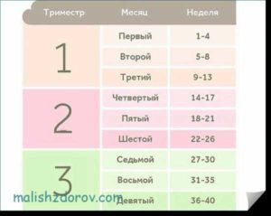 21 неделя беременности в месяцах сколько это