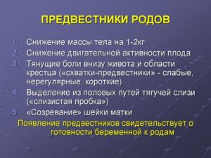 Предвестники родов на 37 неделе беременности у первородящих