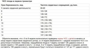 Сердцебиение плода на 12 неделе беременности