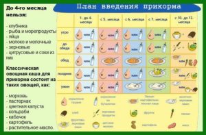 С чего начинать прикорм в 4 месяца на искусственном вскармливании