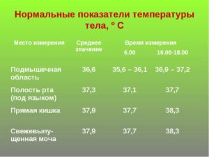 Какая должна быть температура у кормящей мамы