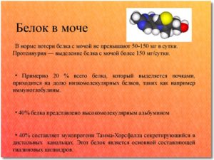 Белок в моче на 33 неделе беременности