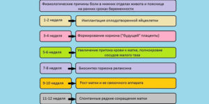 35 неделя беременности болит низ живота и поясница