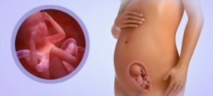Как понять шевеления ребенка на 19 неделе беременности