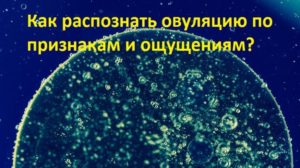 Как распознать овуляцию по ощущениям