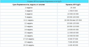 На 5 неделе беременности хгч низкий