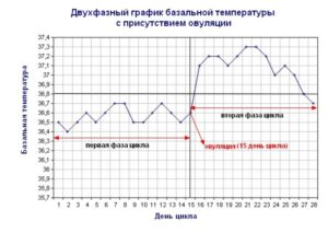 График базальной температуры овуляция