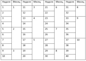 17 неделя беременности какой это месяц