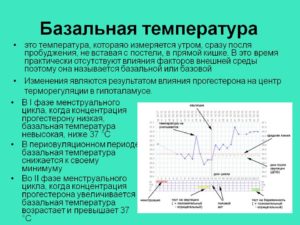 Определение овуляции по базальной температуре