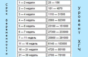 Сколько должно быть хгч при 2 недели беременности