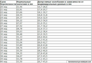 Толщина плаценты на 19 неделе беременности