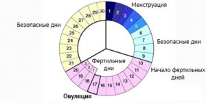 В течение какого времени после овуляции можно забеременеть