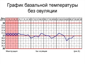 Цикл без овуляции