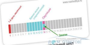 Можно ли забеременеть при прерванном акте в день овуляции