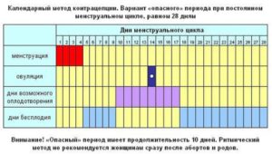 В какой период происходит овуляция