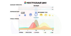 Как забеременеть не во время овуляции