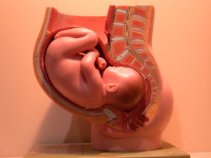 Тонус матки на 34 неделе беременности